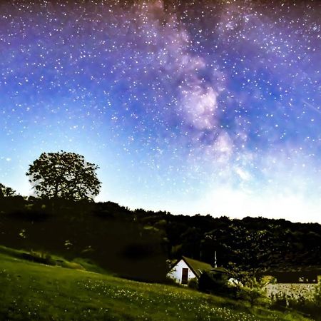 The Roost - A Bird'S Eye View In The Countryside Daire Cullompton Dış mekan fotoğraf