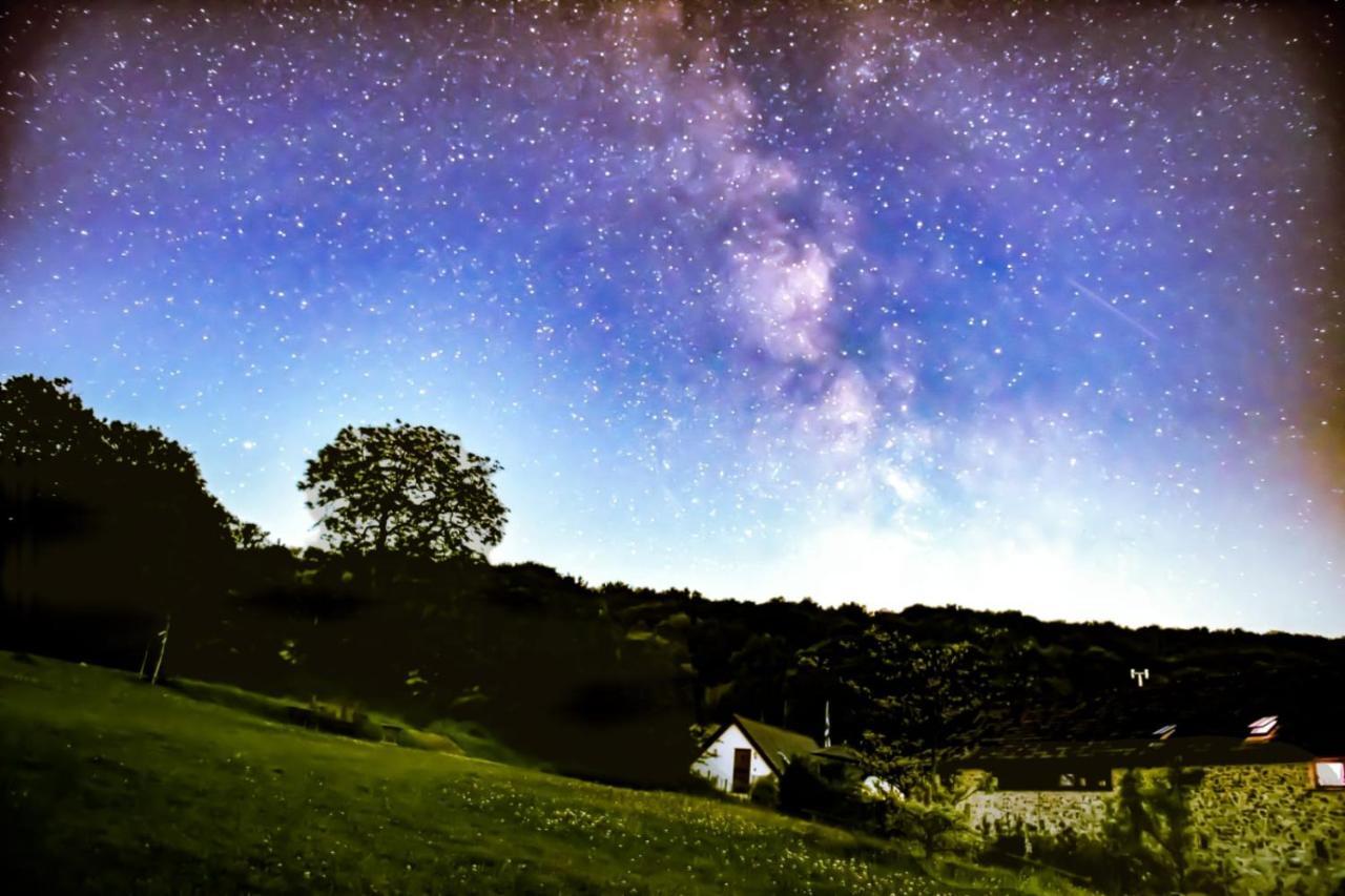 The Roost - A Bird'S Eye View In The Countryside Daire Cullompton Dış mekan fotoğraf